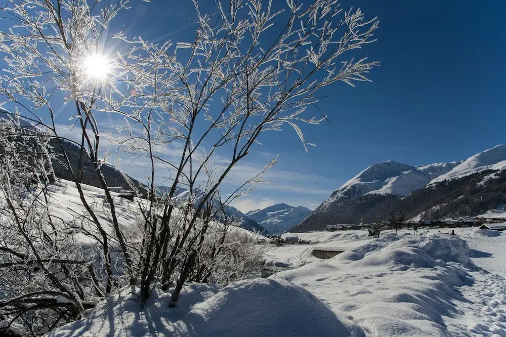 Vetta in Livigno With 1 Bedrooms and 1 Bathrooms