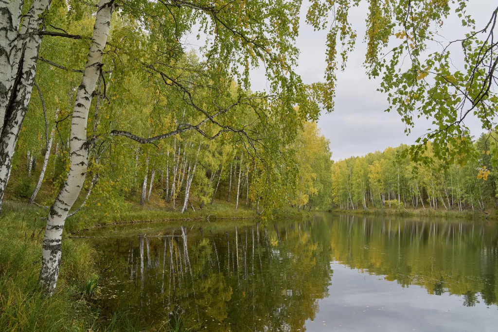 Акватория