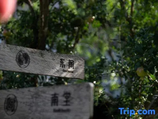 Future Homestay （Xingyi Wanfenglin Store）