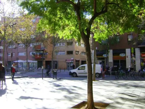 Apartment Guell
