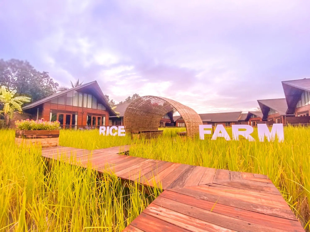 Rice Farm Villa