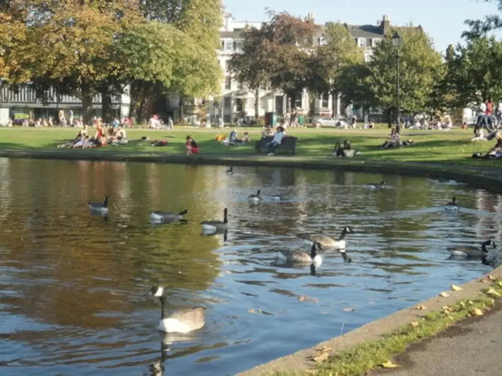 Stunning 1 Bedroom Flat in Amazing Location