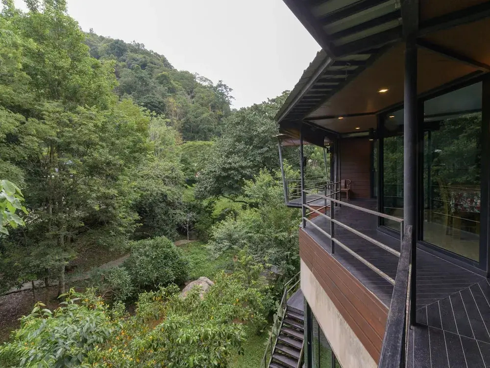 The Stream House