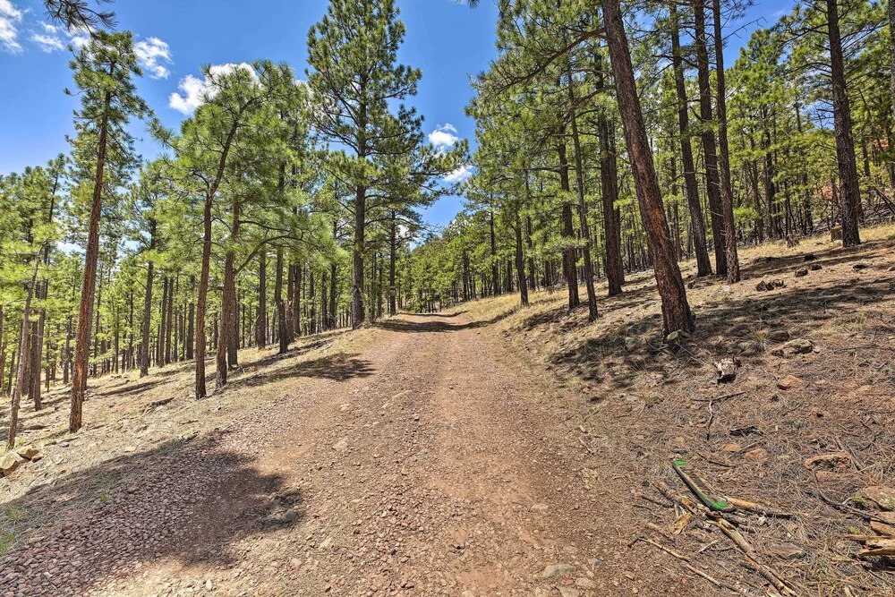 Hike, Bike & Ski, 12 Mi to Slopes: Serene Cabin
