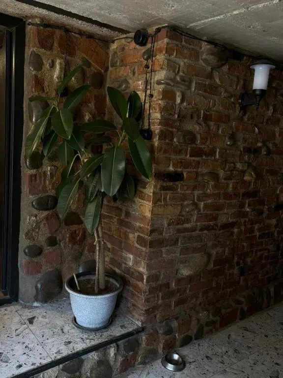 Апартаменты Cozy Spot Kutaisi