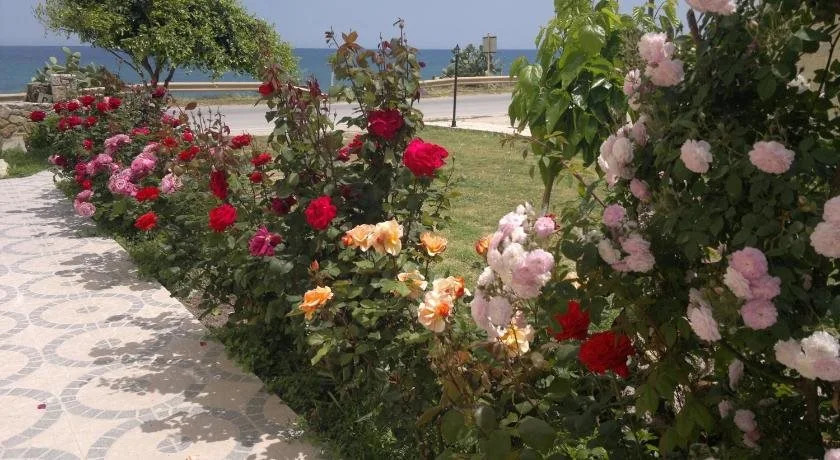 Asterina Seaside Apartments