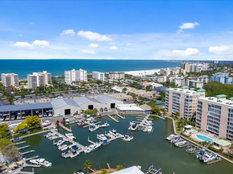 Palm Harbor #704