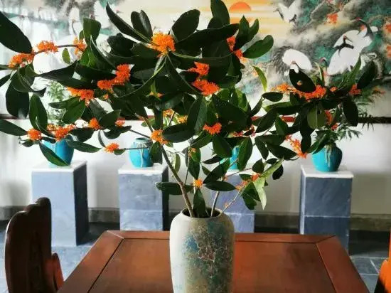Taohuatan Bandao villa