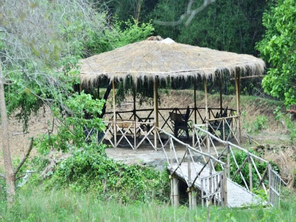 Jungle Hut Resort