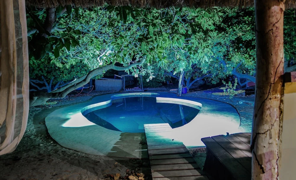 Bonobo Lodge