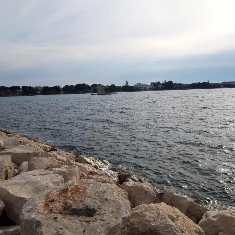 Apartments Draga