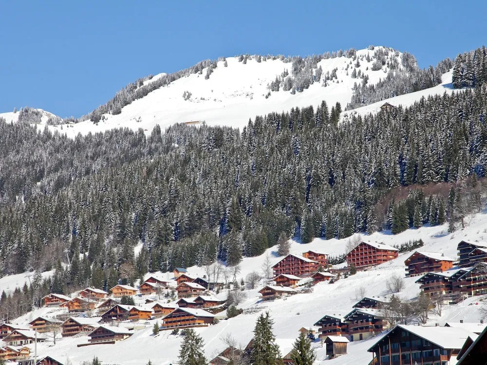 Comfortable Apartment in Chatel, 50 m. From the ski Lift