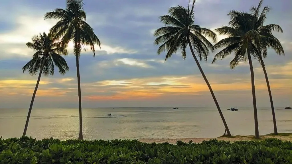 Anna Beach Phú Quốc