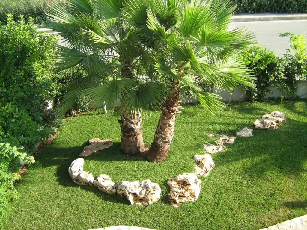 B&B Le Mediterranee