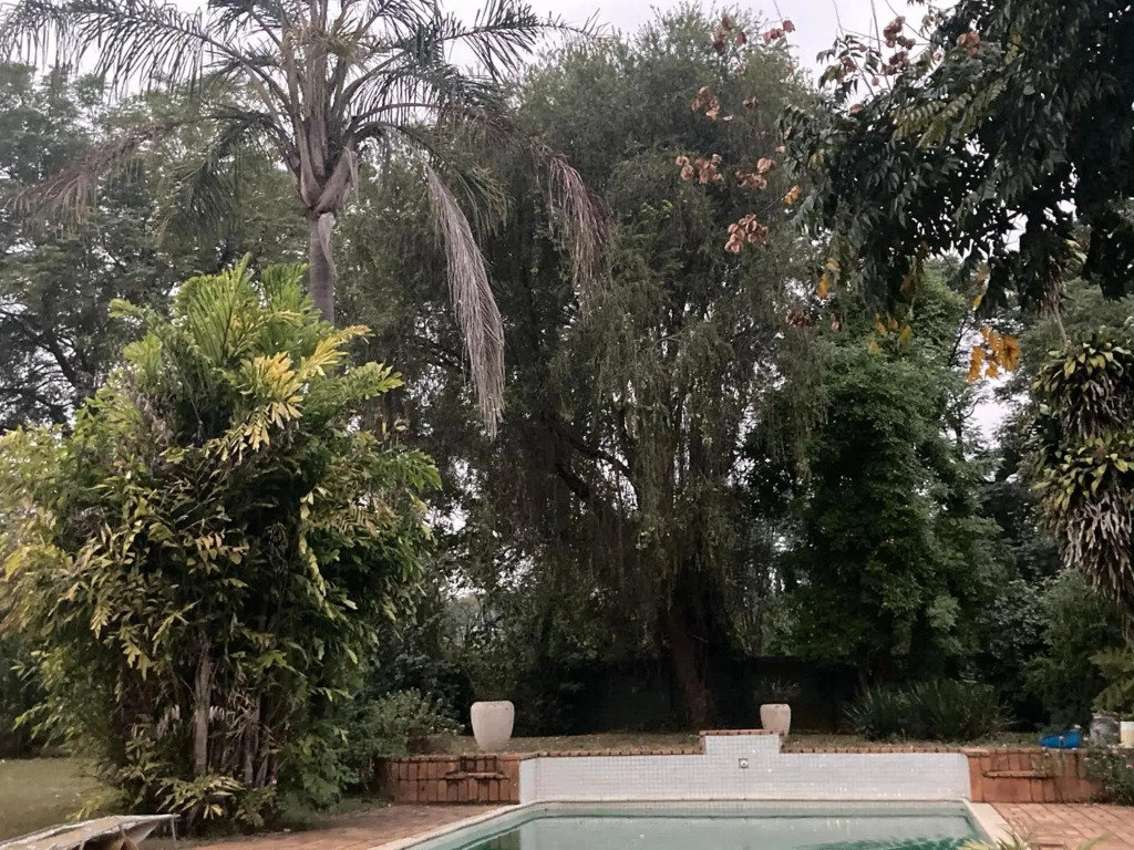 Su Casa Scottsville