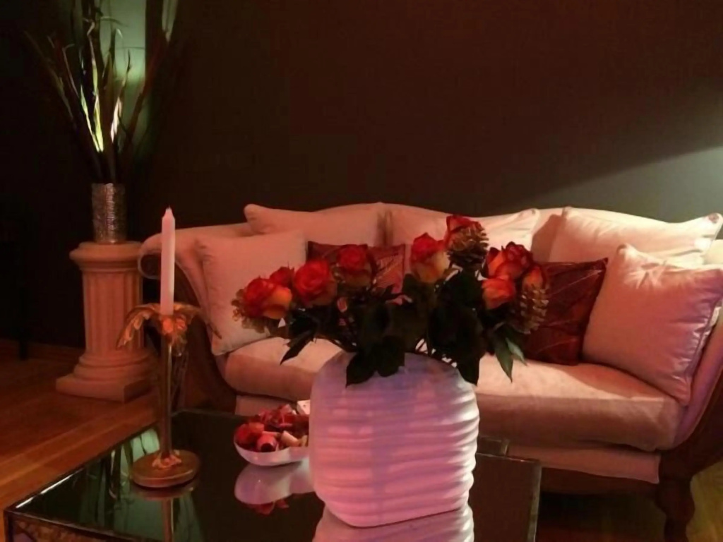 Loft & Spa Privatif