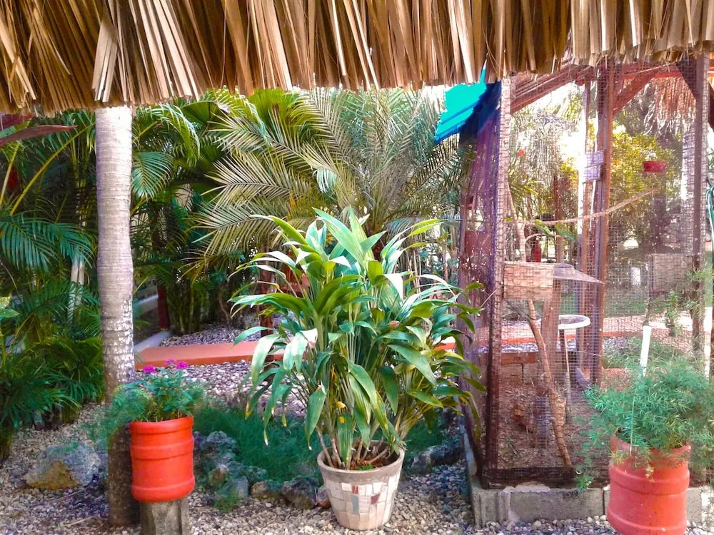 Sosua Adventure  Wellness