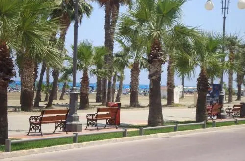 Dioskourion Foinikoudes