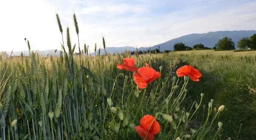 Bed and breakfast Villa Novella