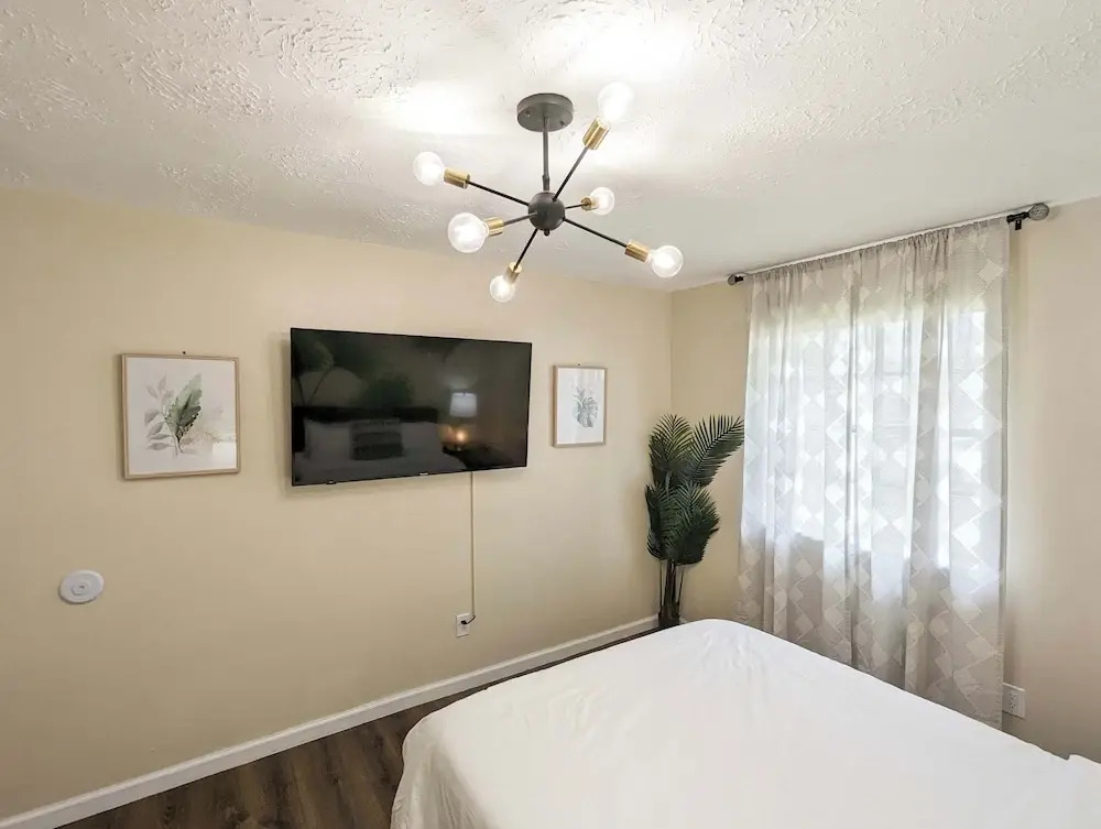 Vibrant Getaway Say Hello to the Best of Houston