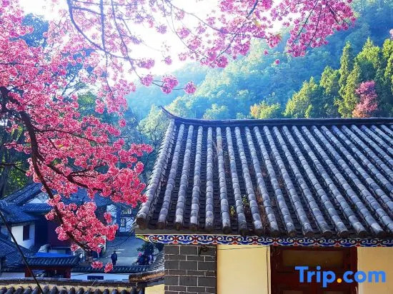 Floral Hotel ·Dali  Meiting Private Hotel(Dali University store)