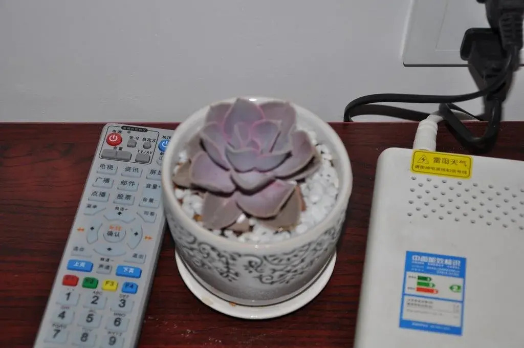 Xiangshan Xingyue Guest House