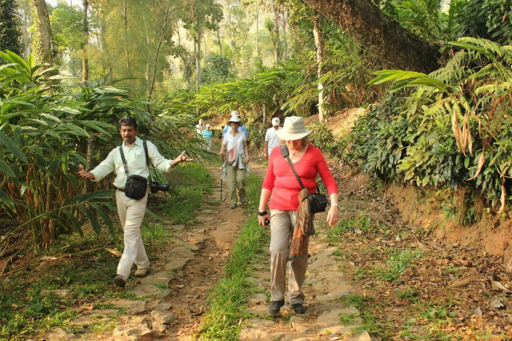 SpiceTree Munnar