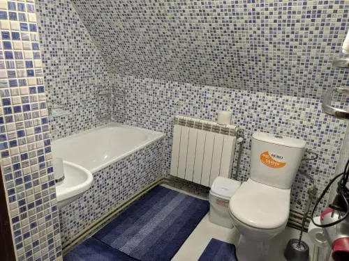 Cottage Skrynya