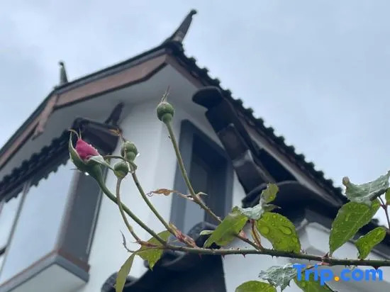 21 Degree Ju·Snow Mountain Courtyard (Lijiang Shuhe Ancient Town Branch)