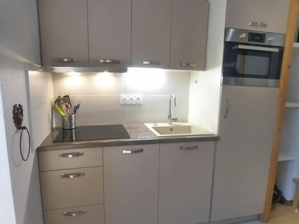 Appartement Brides-les-Bains, 1 pièce, 4 personnes - FR-1-512-51