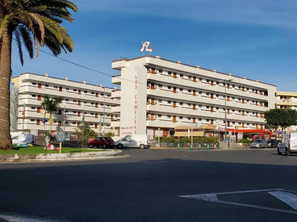 Vivienda Vacacional - Las Camelias #150710