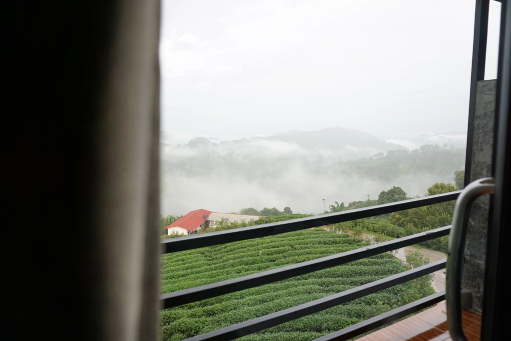 101 Tea Green View