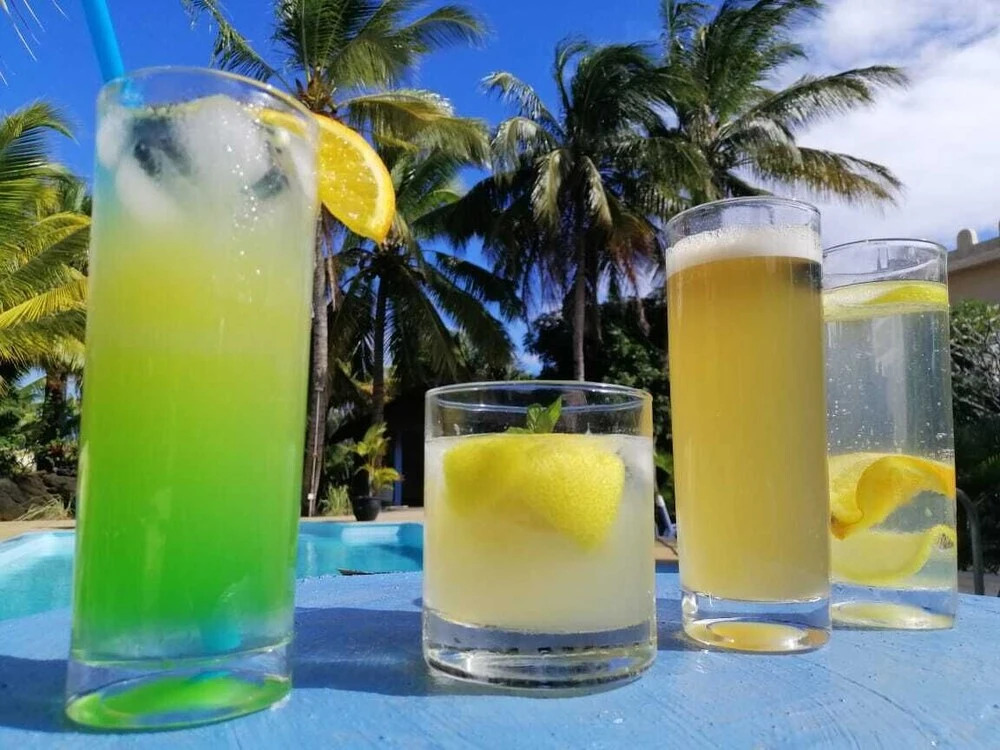 The Palm Tree Garden Hotel