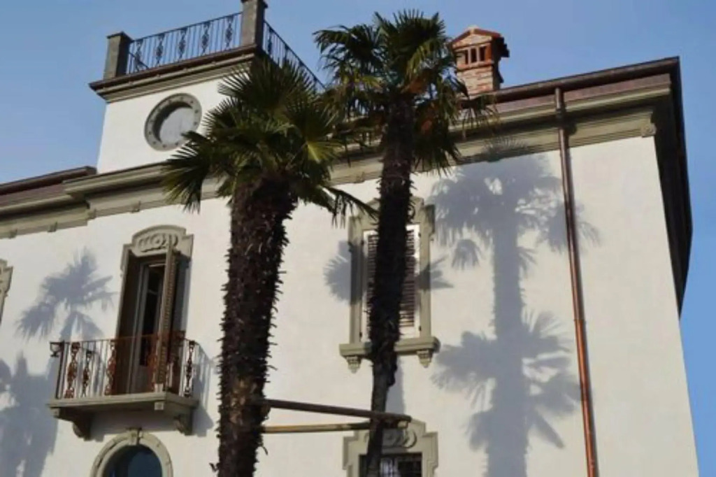 Le Ali Del Frassino