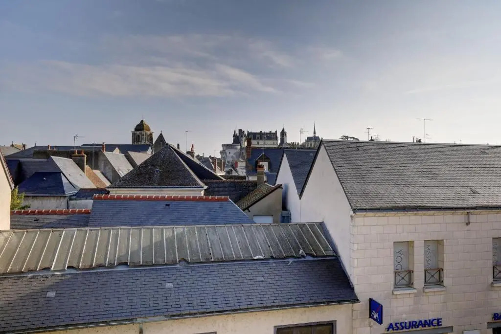 Large T2 with view of the Château d'Amboise