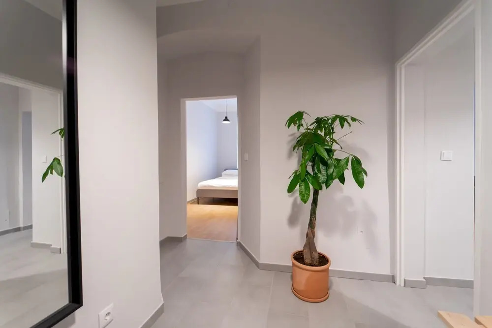 Spacious 2bdr Apt in Beautiful Neighborhood