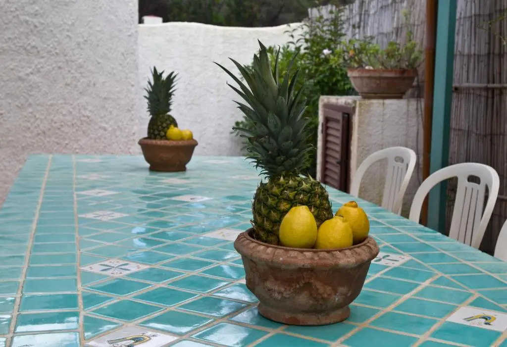 Jungle House - Pineta Is Morus