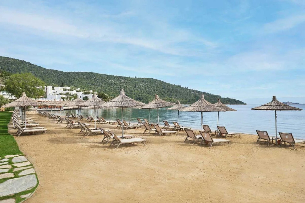 Voyage Torba