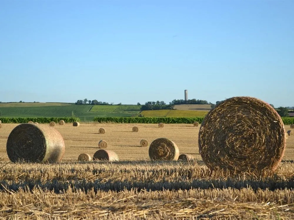 Du Côté de Chez Jeanne