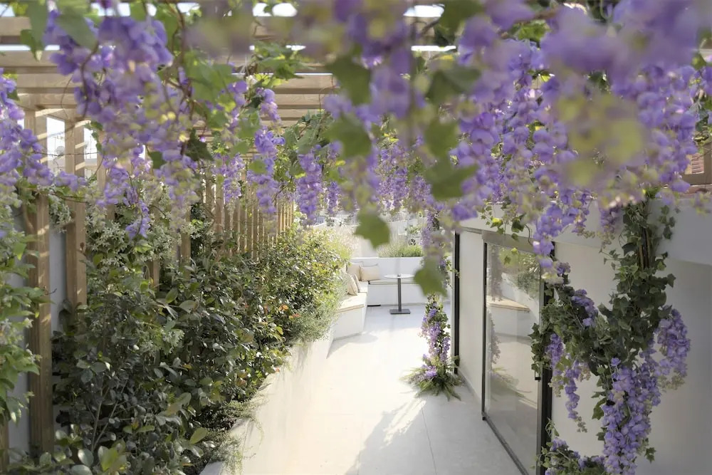 Cityzoe Athens Suites