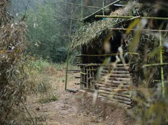 Hangzhou Baizhou Homestay