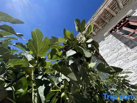 Huatang Yiyuan Boutique Homestay