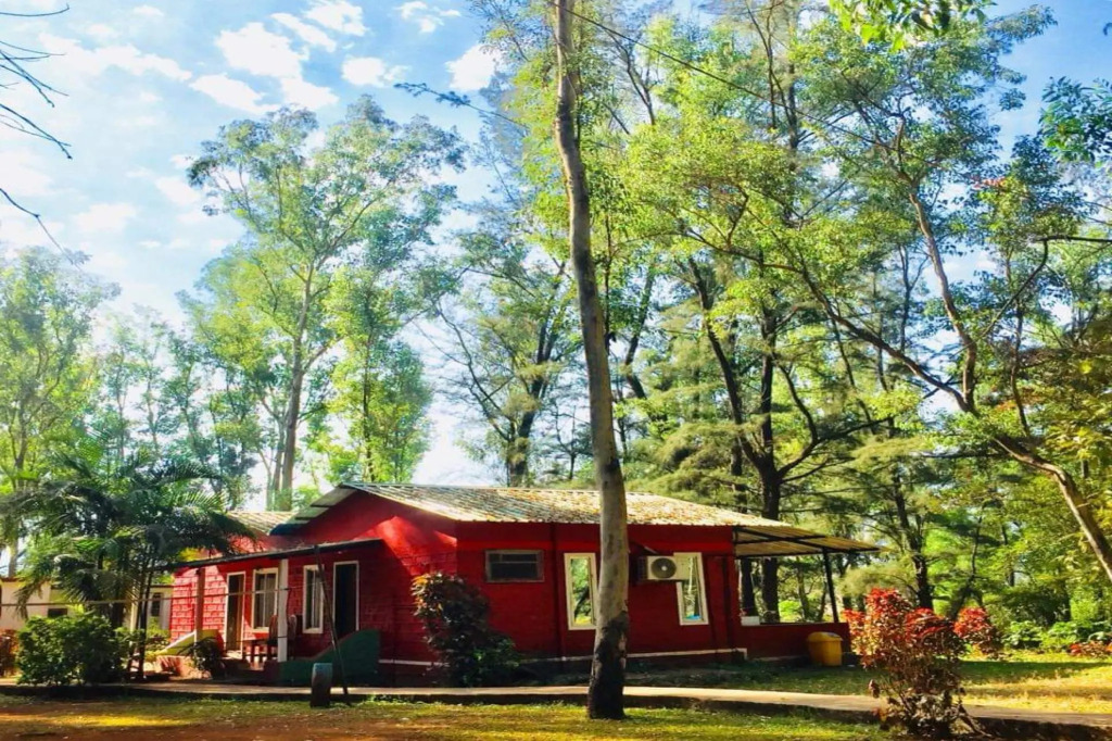 Jungle Valley Agriculture Resort