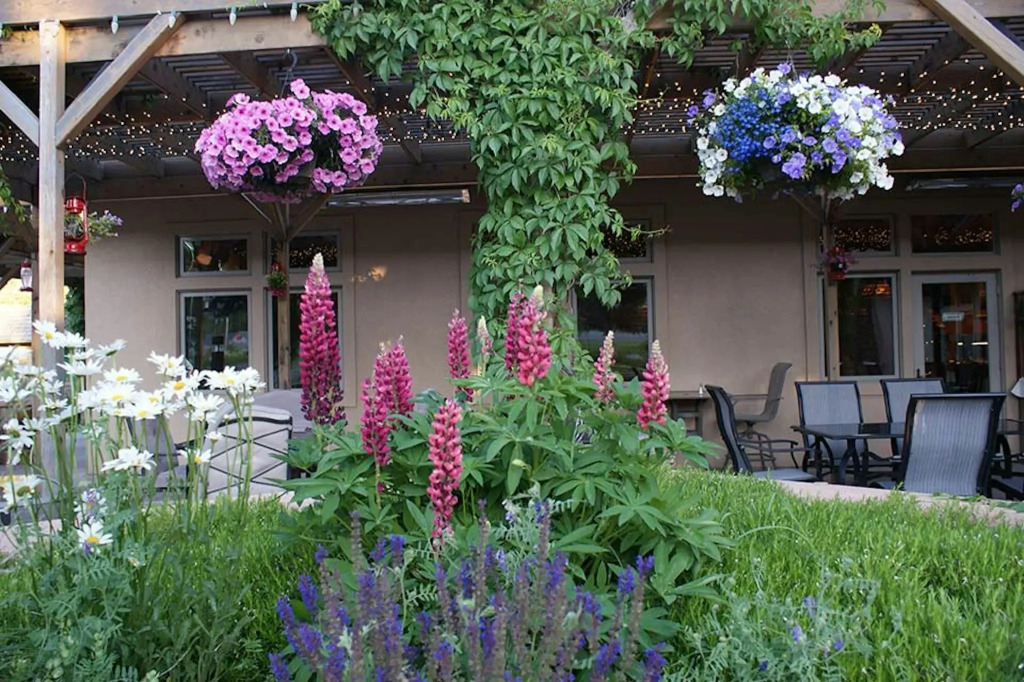 Flying Saddle Resort and Steak House