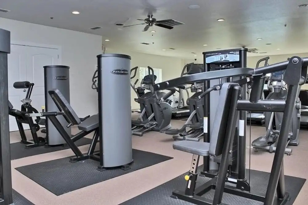 One Club 3406 By Youngs Suncoast