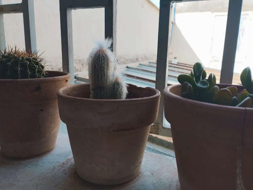 Thomashome