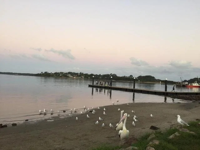 Culburra Beachhouse