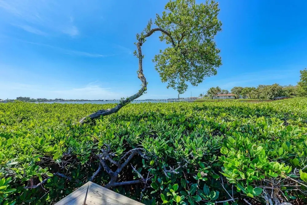 Bradenton Beach Club Bliss-2 Bedroom-2 Bathroom Condo-2 Pools-hottub-private Beach Access