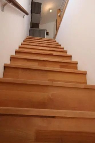 Apartment Branka