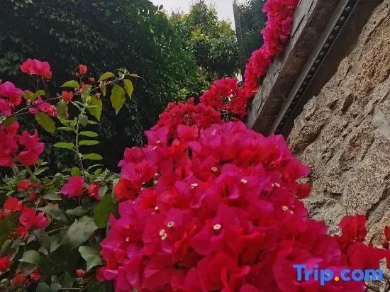 Taishan Yuhaixin homestay